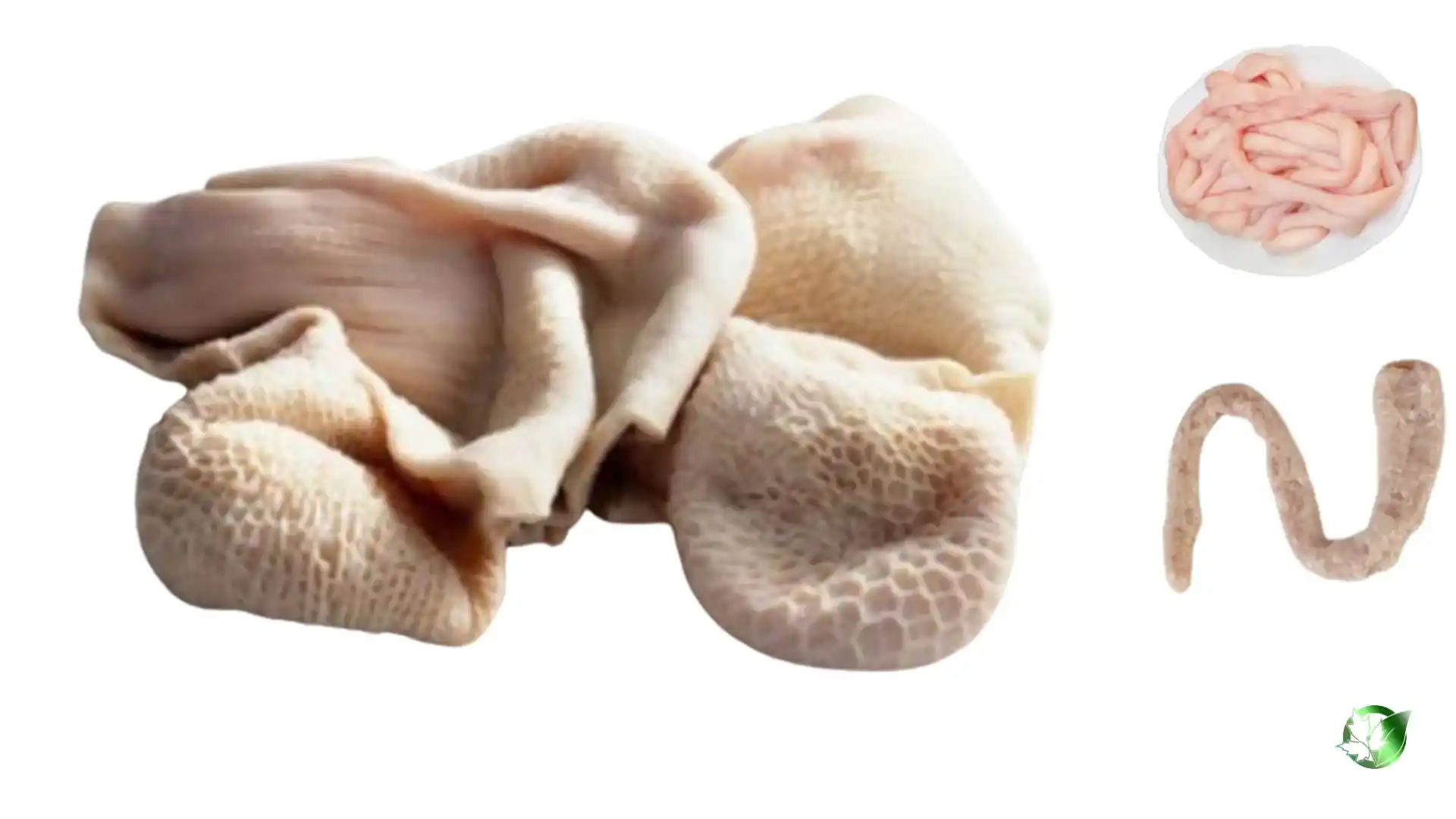 Sheep Intestine quality, format, and packaging should be matched to the buyer’s target application.